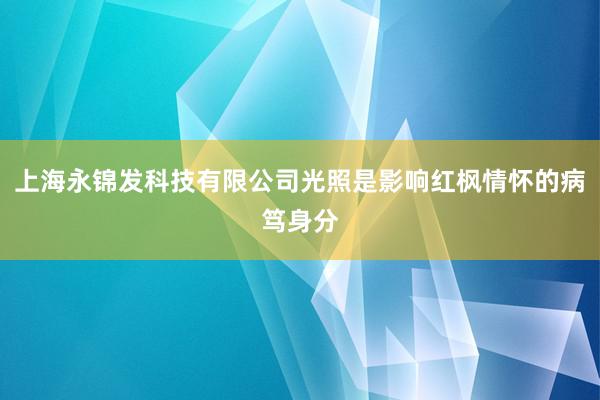 上海永锦发科技有限公司光照是影响红枫情怀的病笃身分